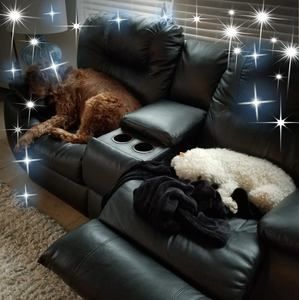 Meet your Posher, Jackie